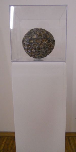 MW 19 (Normale Auflösung)